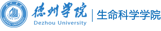 开元集团网站